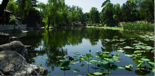 參觀清華小程序,清華大學參考預約小程序入口