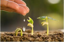 農(nóng)業(yè)管家APP開發(fā)：促進農(nóng)業(yè)科學管理