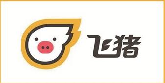 旅游APP開發:類似飛豬旅游APP開發 旅游APP開發:類似飛豬旅游APP開發