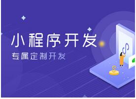 定制化小程序開發 定制化小程序開發